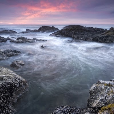 Steve Newby Photo 13