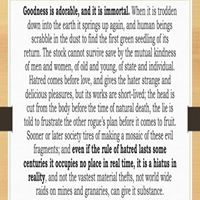 Matthew Pascucci Photo 6