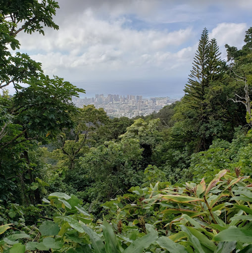 Jessica Reeves Photo 27 Jessica Reeves Photo 27