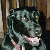 Bill Rasmussen Photo 19 Bill Rasmussen Photo 19