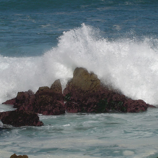 Dwyane Robinson Photo 2