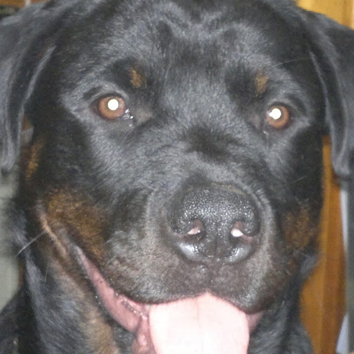 Dorothy Osborne Photo 28