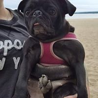 Alyssa Swain Photo 4