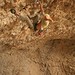 Shama Sharma Photo 34