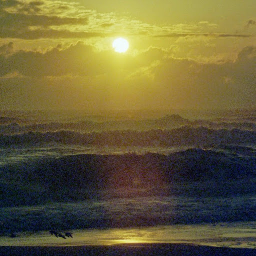 Kathy Stevens Photo 22