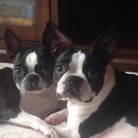 Kristin Coyle Photo 7