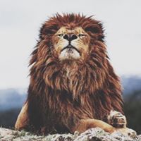 Quenton Smith Photo 7