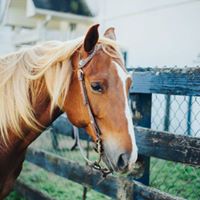 Bridget Santucci Photo 1