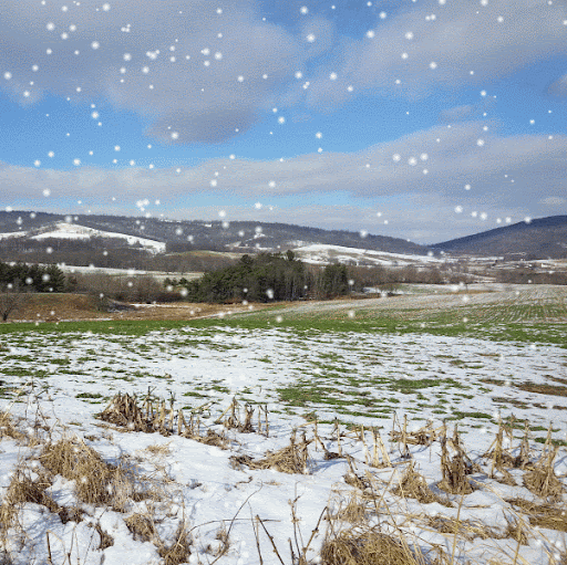 Mary Wilkerson Photo 23