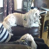 Jeanette Howell Photo 19