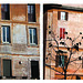 Daniel Fiori Photo 4