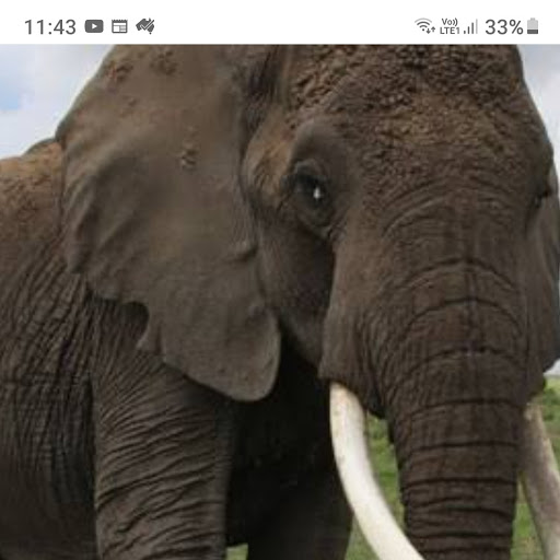 Colleen Chapman Photo 41