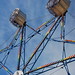 Ann Ferris Photo 10