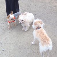 Christine Janis Photo 18 Christine Janis Photo 18