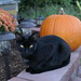 Deborah Murdock Photo 20