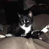 Douglas Smith Photo 7 Douglas Smith Photo 7