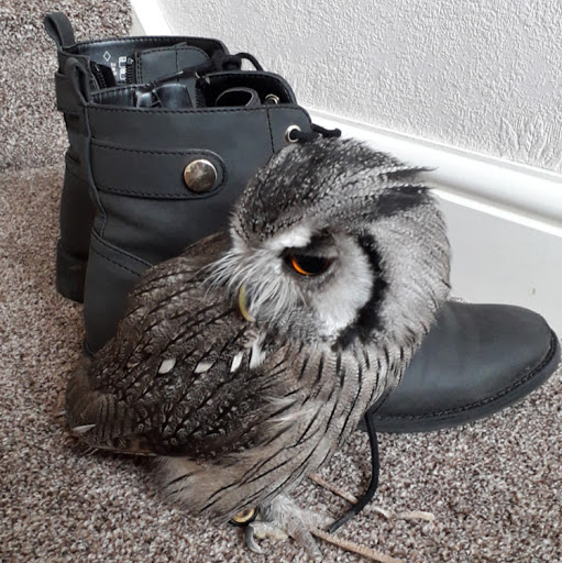 Katherine Whitaker Photo 22