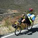 Steve Likins Photo 13
