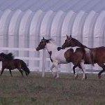 Jeanne Huffman Photo 15