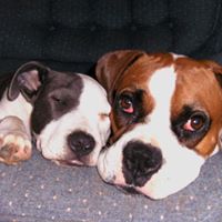 Diane Prosser Photo 5