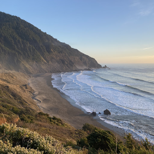 Rebecca Stein Photo 33 Rebecca Stein Photo 33