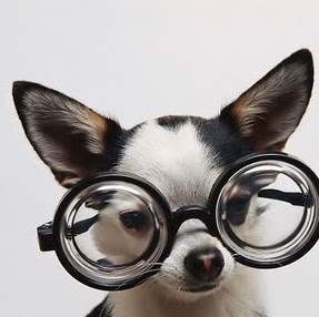 Rita Walker Photo 32