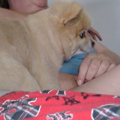 Jennifer May Photo 36