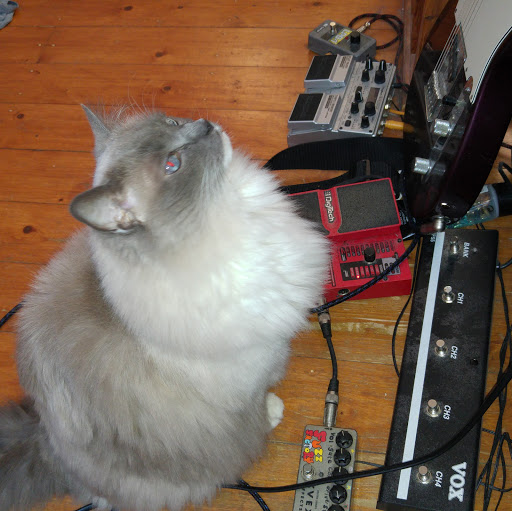 Elliot Parker Photo 28