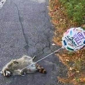 Ralph Jenkins Photo 23