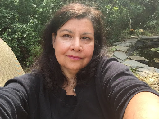 Lisa Ferraro Photo 26