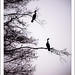 Dawn Ballard Photo 33