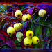 Diana Berry Photo 40