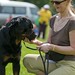 Elaine Rowe Photo 31