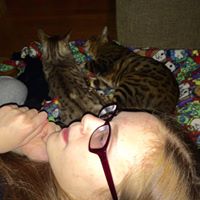 Cindy Curtis Photo 18 Cindy Curtis Photo 18