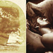 Elizabeth Adamson Photo 10