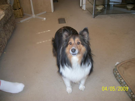 Brenda Goodman Photo 25