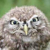 Eric Lozada Photo 12