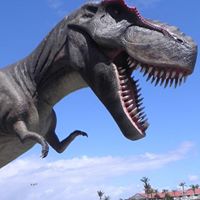 Sheryl Webster Photo 22