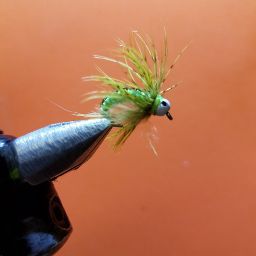 Larry Wolff Photo 6 Larry Wolff Photo 6