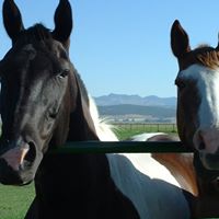 Diana Graveley Photo 1