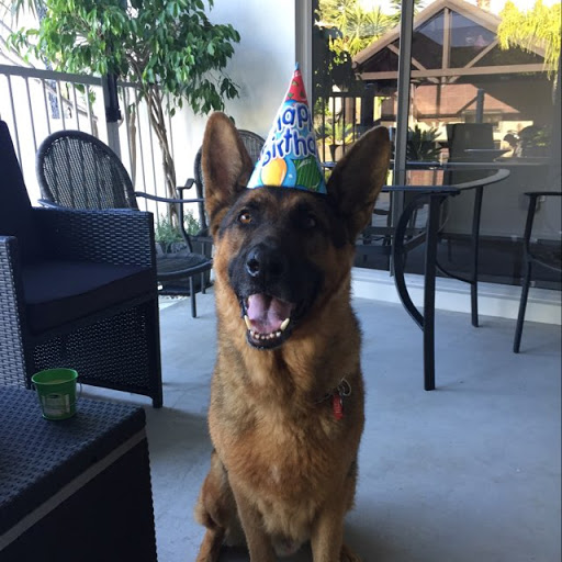 Jacqueline Morris Photo 17