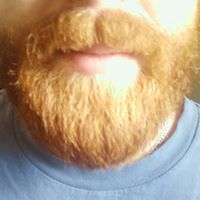 Ginger Beard Photo 8