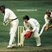 Roy Gibbs Photo 2