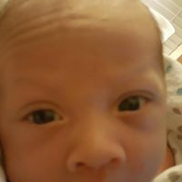 Patsy Wooten Photo 15