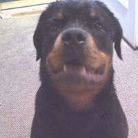 Traci Walker Photo 19