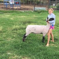 Todd Roberson Photo 17