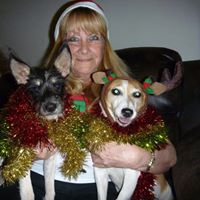 Lorrie Clements Photo 7