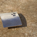 Margaret Buckles Photo 8