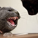 David Haney Photo 21