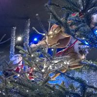 Tracy Middleton Photo 21